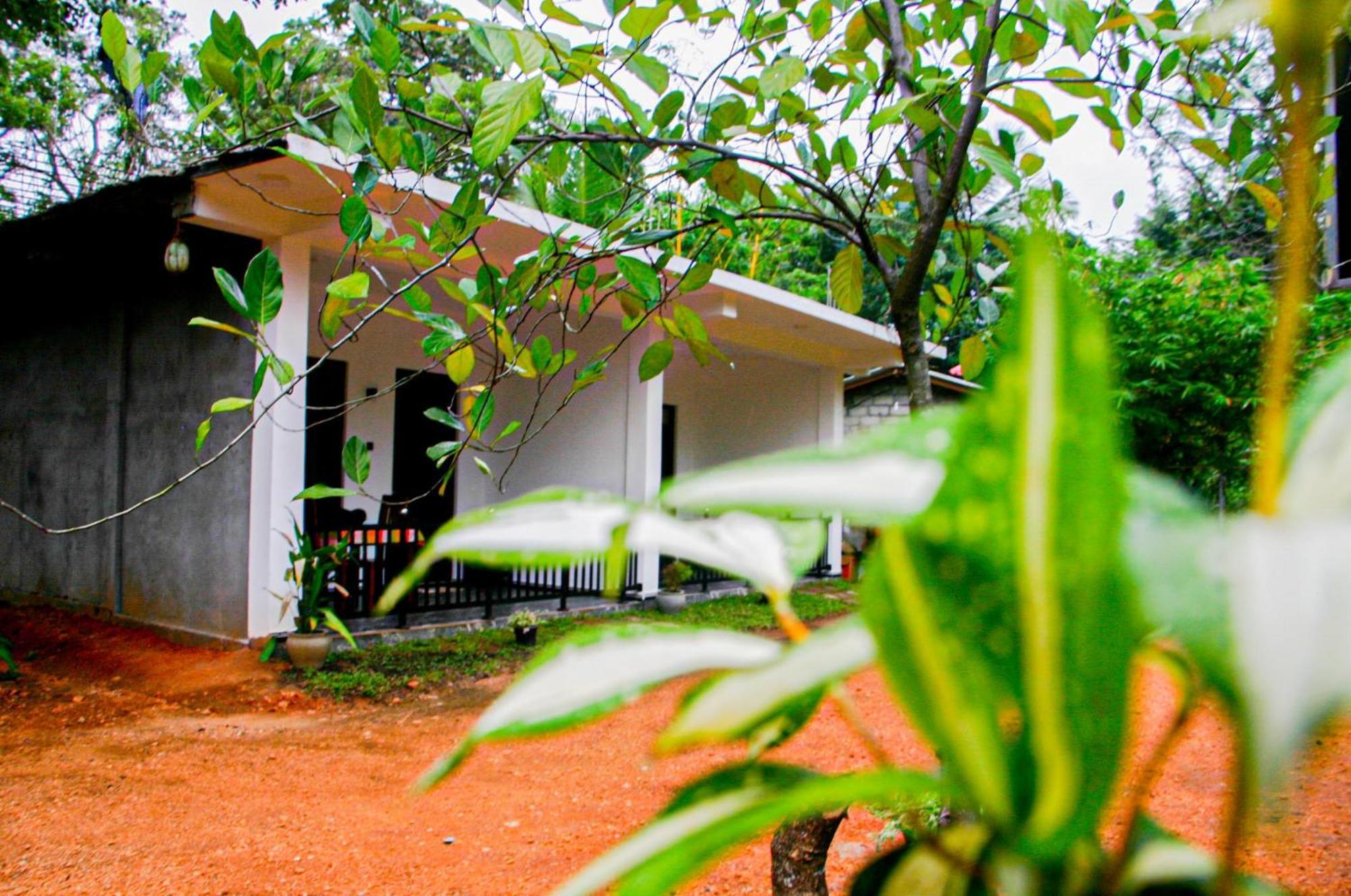 Sigiri Heaven Villa Sigiriya Exteriér fotografie