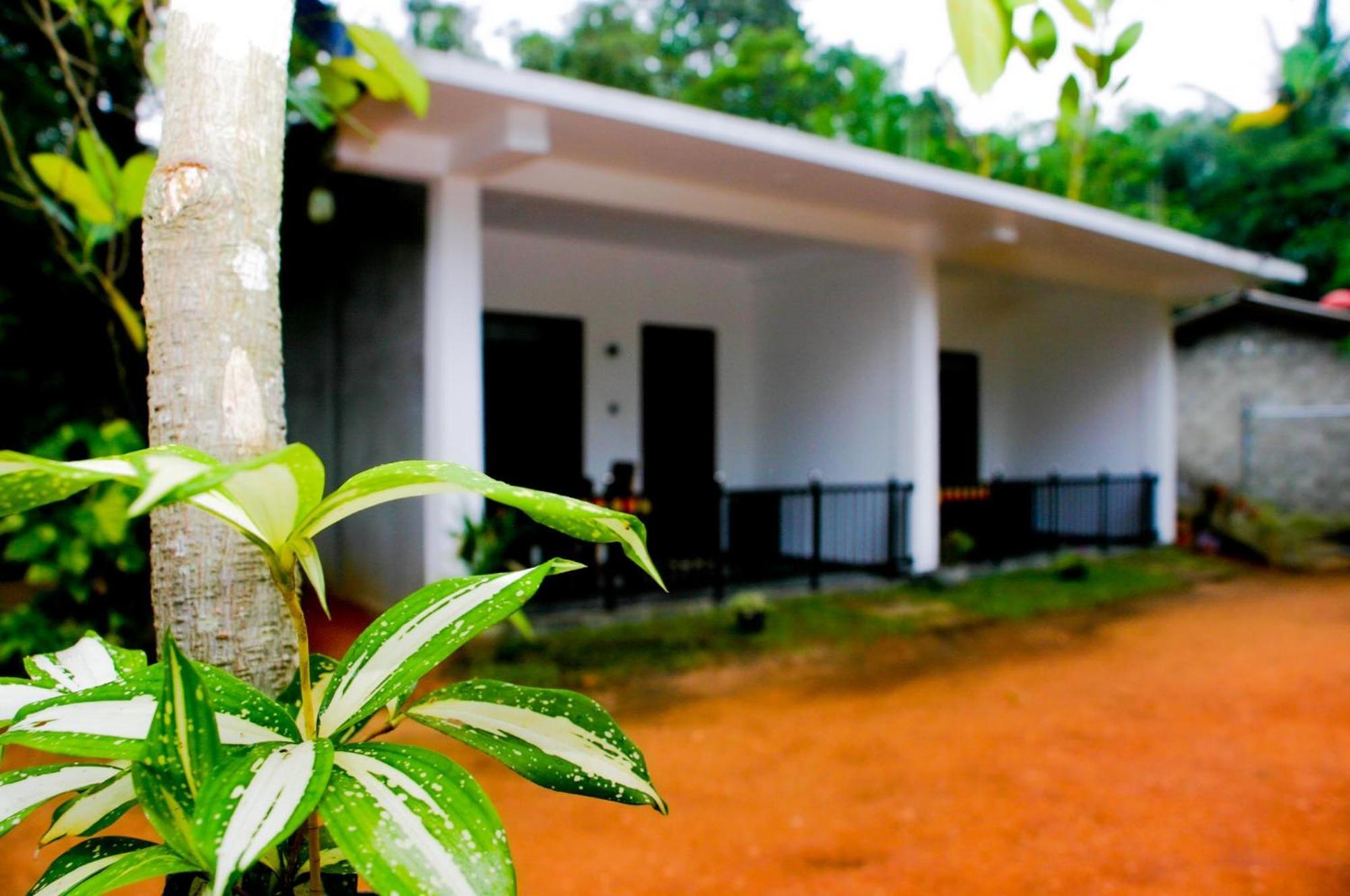 Sigiri Heaven Villa Sigiriya Exteriér fotografie