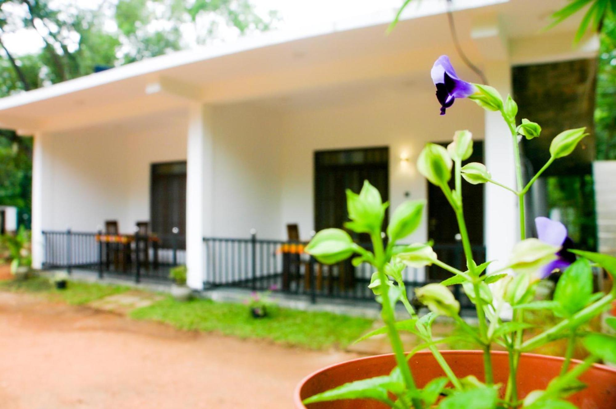 Sigiri Heaven Villa Sigiriya Exteriér fotografie